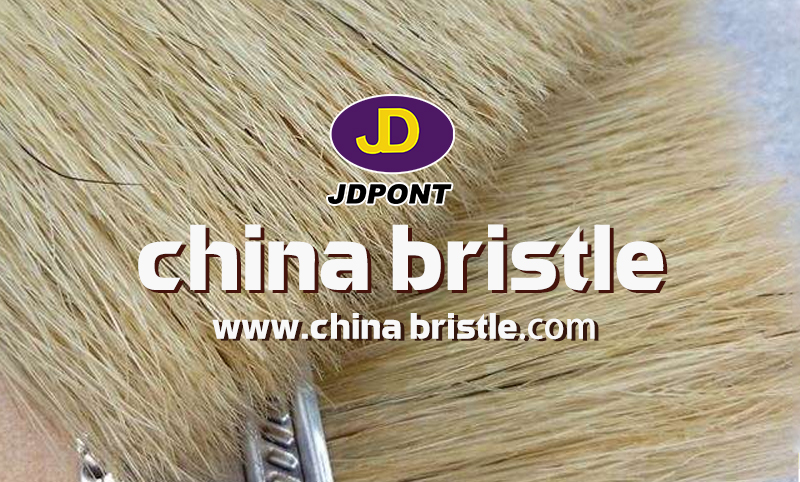 china bristles