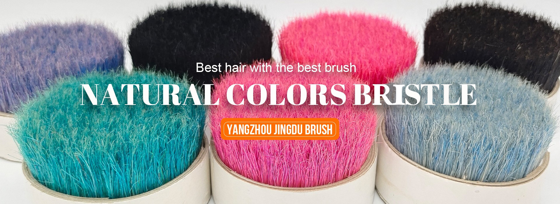 colors bristles