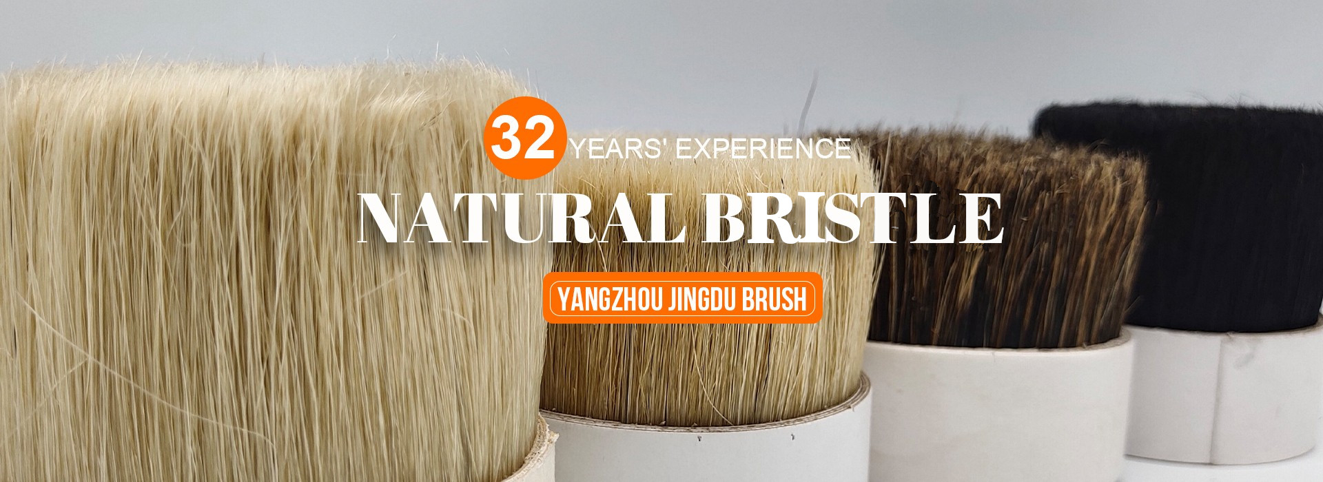 china bristle